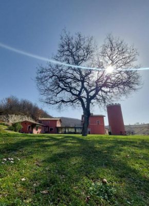 Agriturismo La Vita è Bella